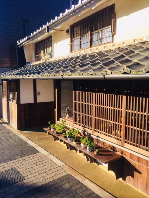 盆栽 日向ぼっこ！